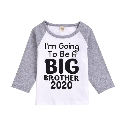 Big Brother 2020 top