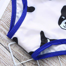 Dog Swimsuit