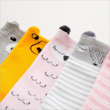 Cartoon Trend Socks