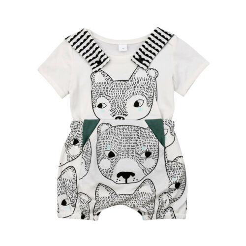 Baby + Papa Bear Set