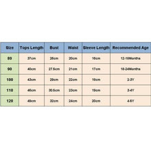 Liza Ruffled Dress/Top