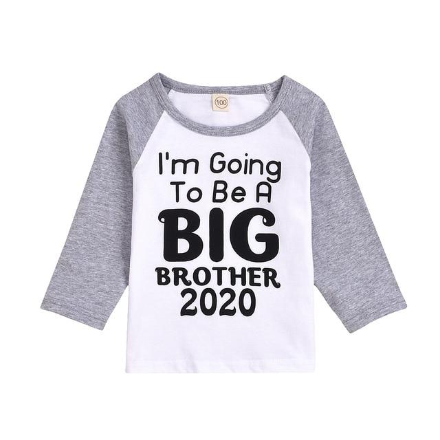 Big Brother 2020 top